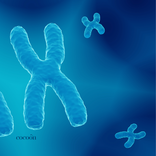 Hva er exosomer – kroppens egne «budbringere»